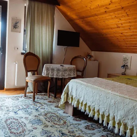 Homestay Popas Fagarasan *